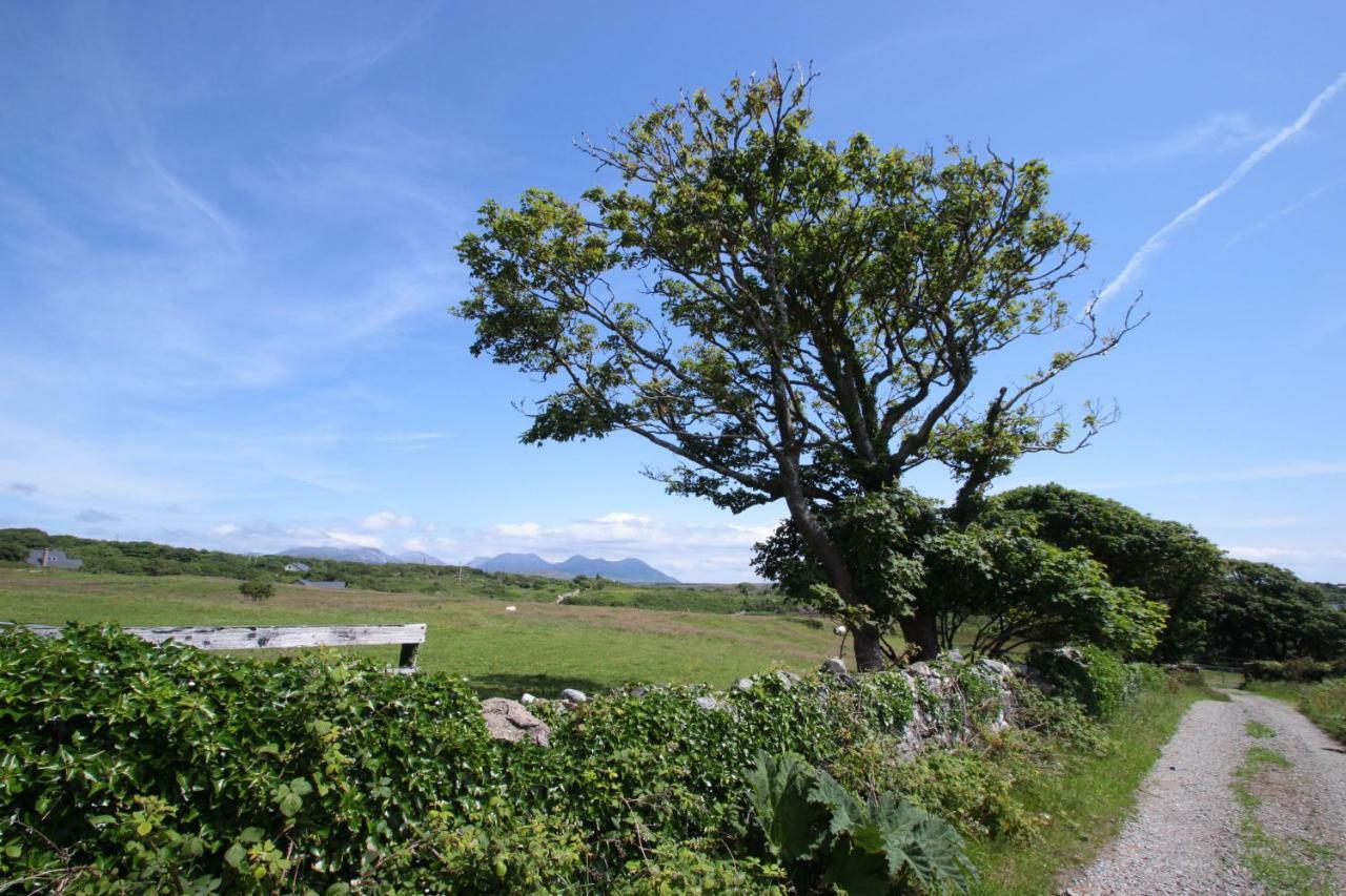 Island View Townhouses Clifden Eksteriør billede